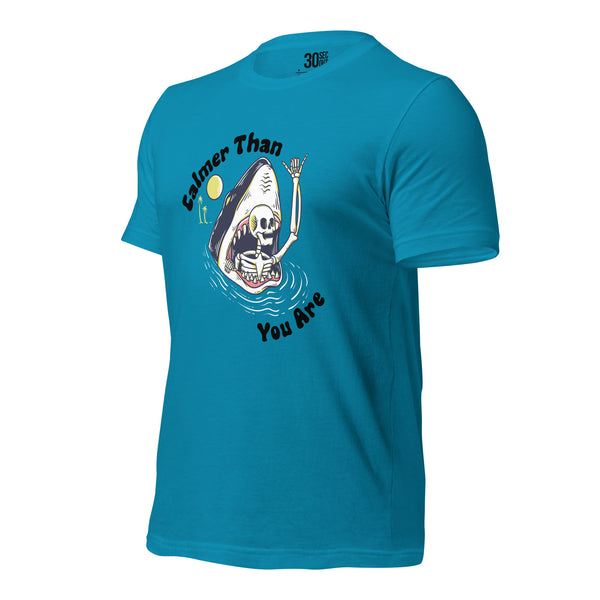 T-shirt - Calmer Than You Are