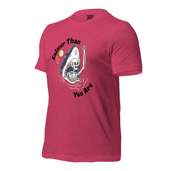 T-shirt - Calmer Than You Are