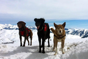 The Ultimate Guide for Moving to an Affordable Mountain Town - Thirty Seconds Out