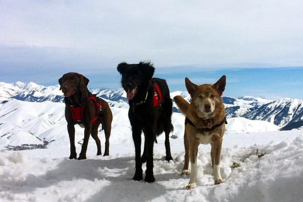 The Ultimate Guide for Moving to an Affordable Mountain Town - Thirty Seconds Out