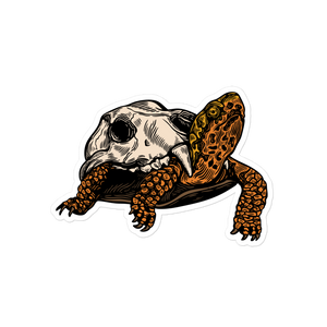 Sticker - Desert Relic Turtle