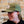 Hat - Ranger Elk